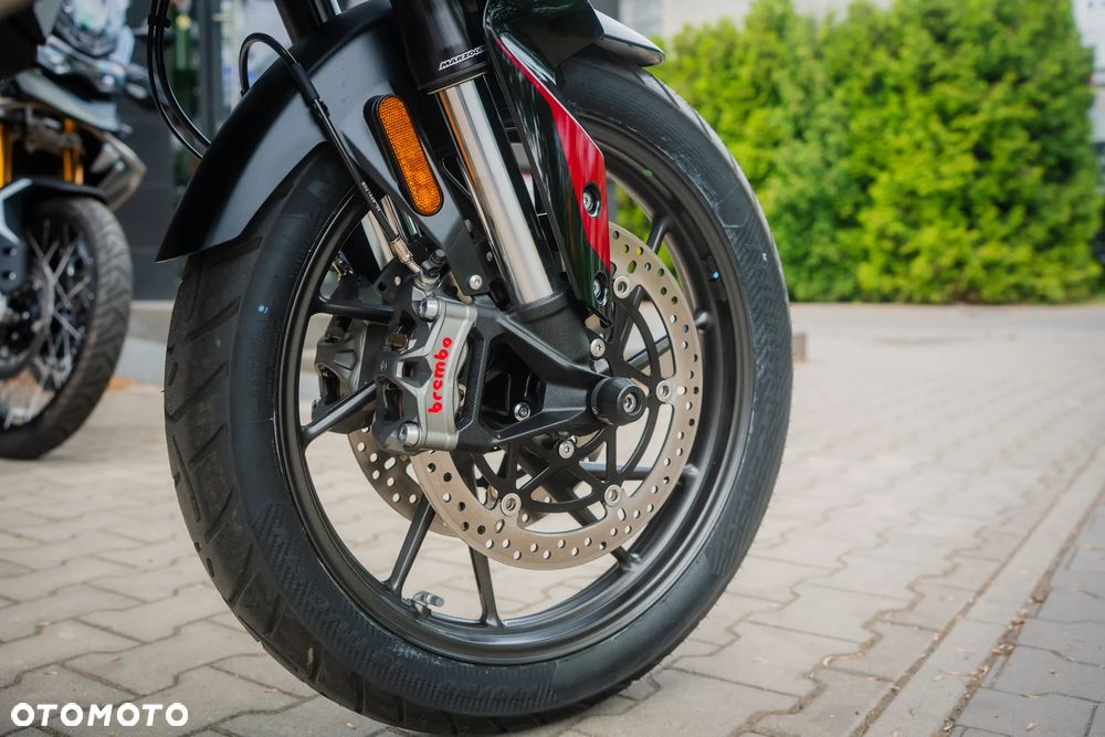 Triumph Tiger - 25