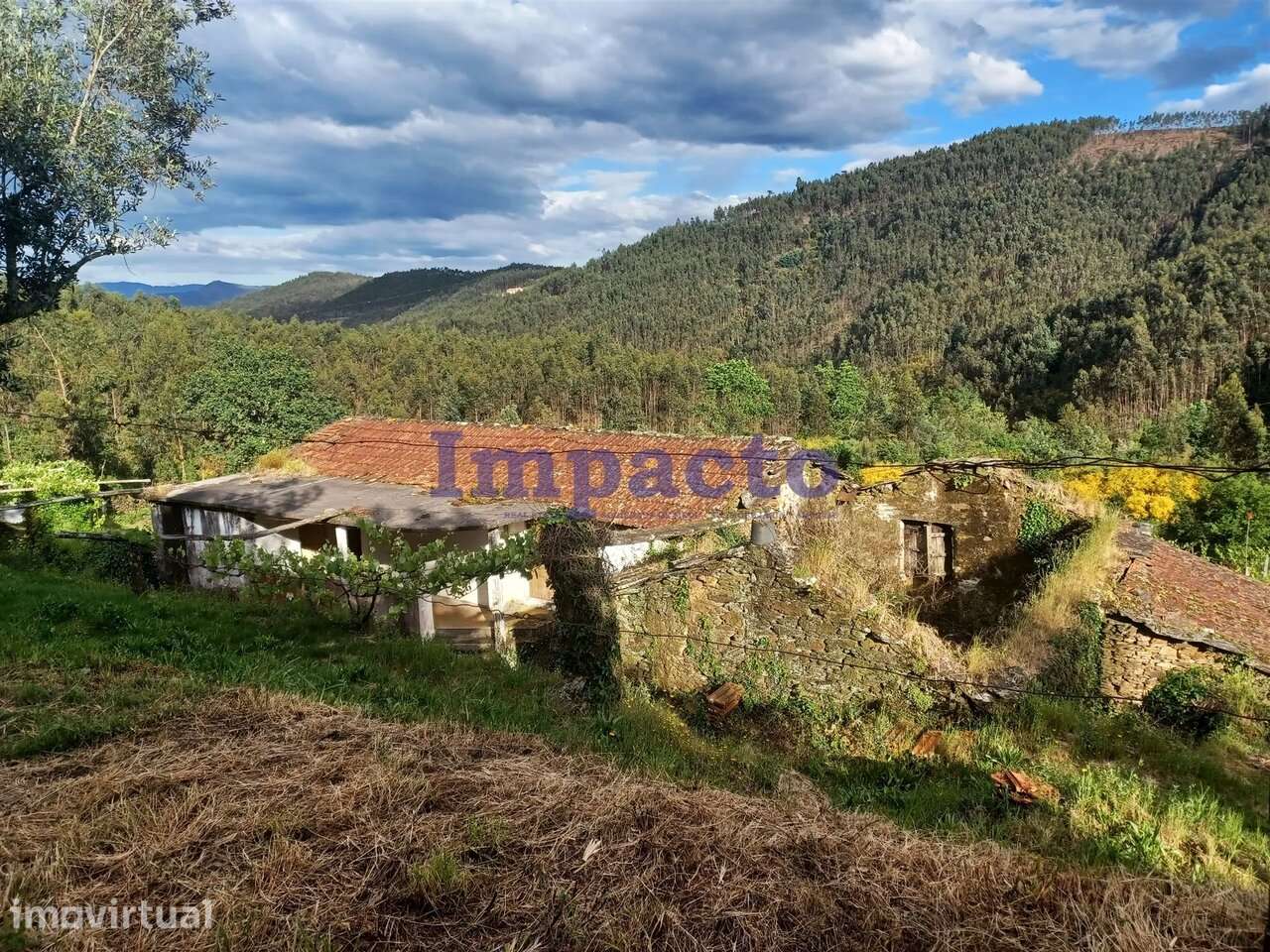 Moradias para reabilitação em Sergido, Arouca - Grande imagem: 2/5