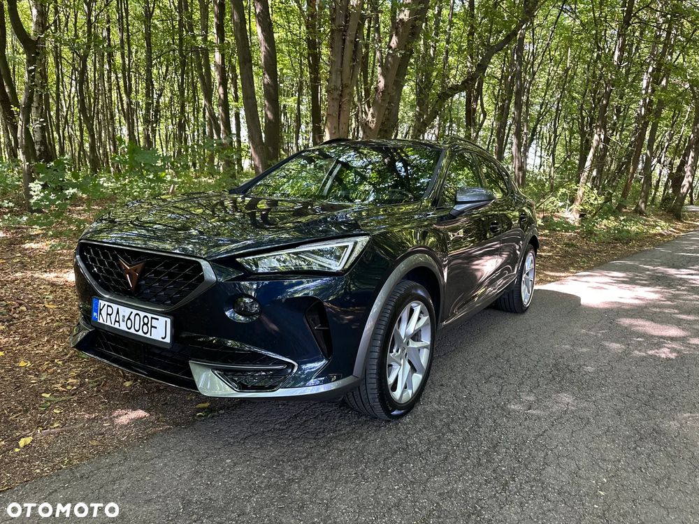Cupra Formentor 1.5 TSI DSG Tribe Edition - 10