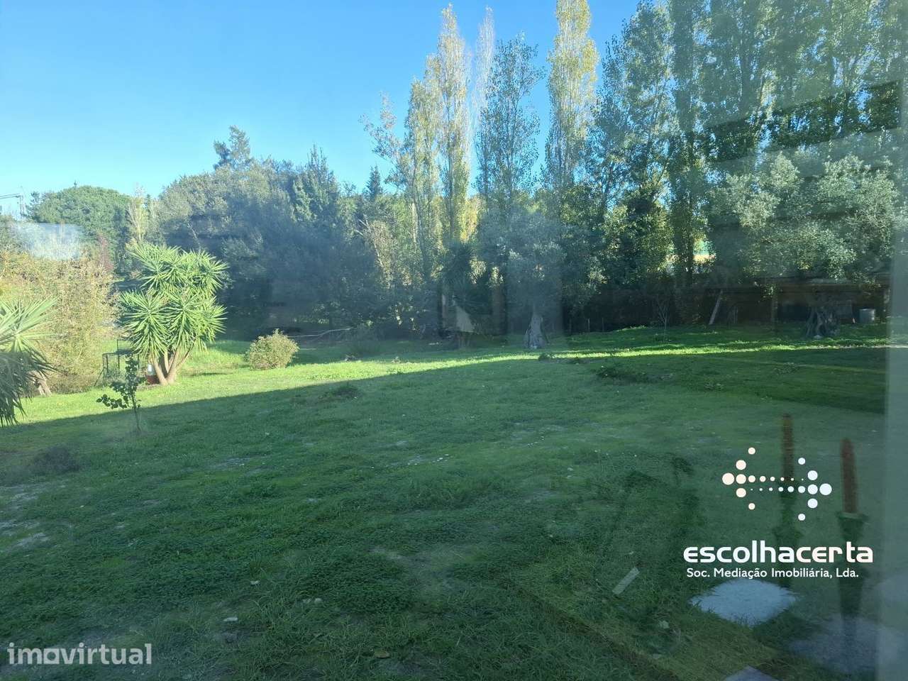 Quinta dos Seus Sonhos Onde a Natureza Fala Mais Alto Palmela -... - Grande imagem: 3/60