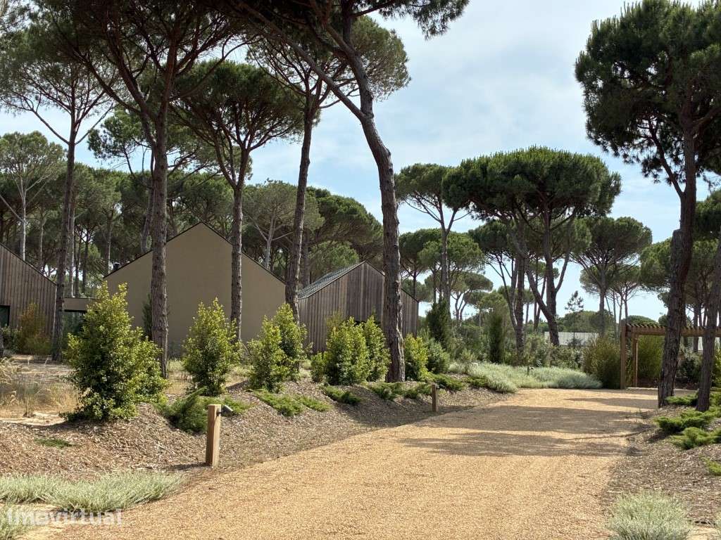 Elegante Sublime Comporta Villa - Grande imagem: 4/23