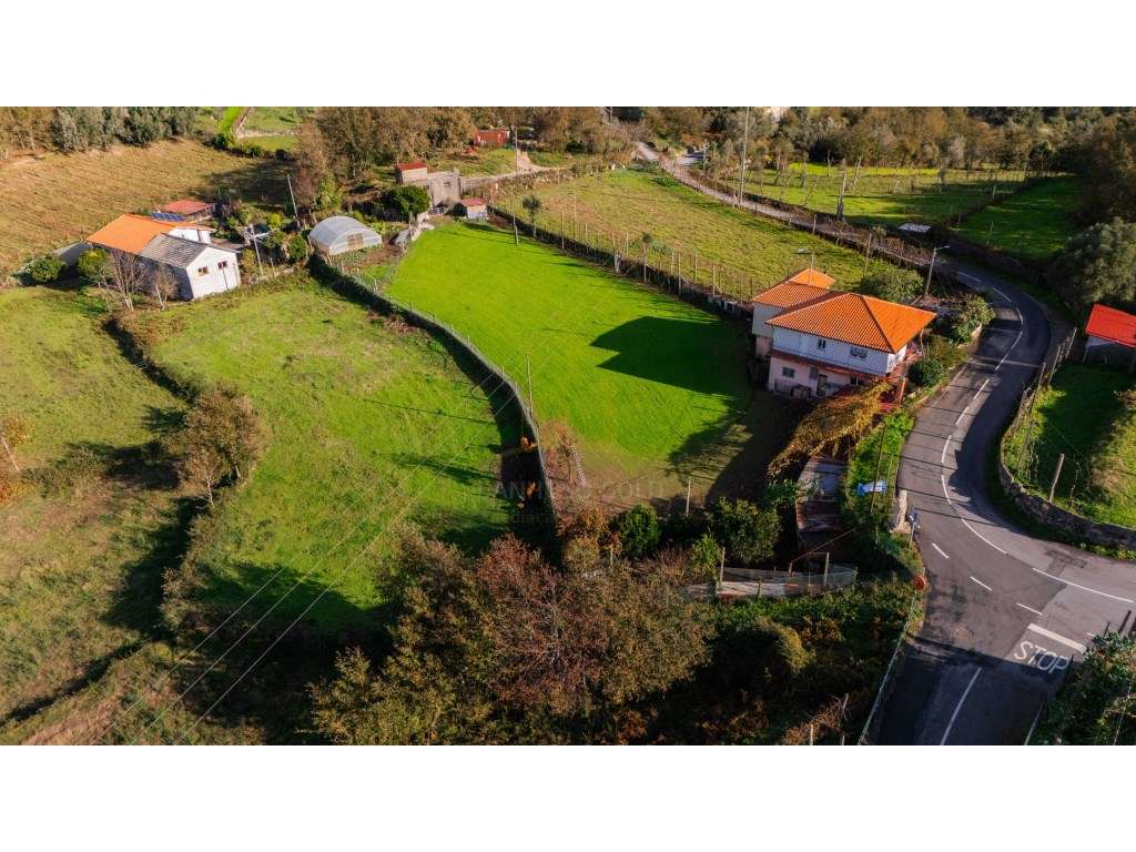Terreno Agrícola com 2.700 m² em Sobradelo da Goma - Uma Oportunida... - Grande imagem: 4/6