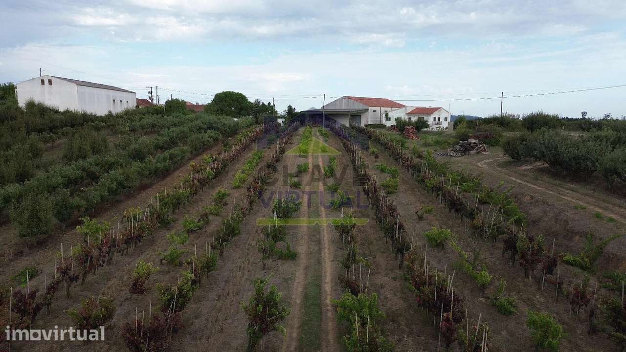 Terreno Rústico Construtível c/ 7.859 m2 Carvalhal - Bombarral - Grande imagem: 3/15