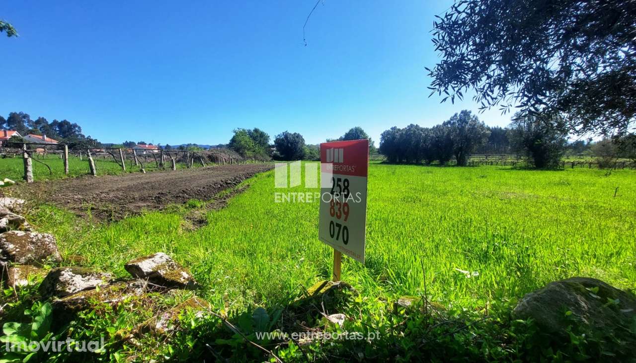 Venda de terreno agrícola, Alvarães, Viana do Castelo - Grande imagem: 3/14