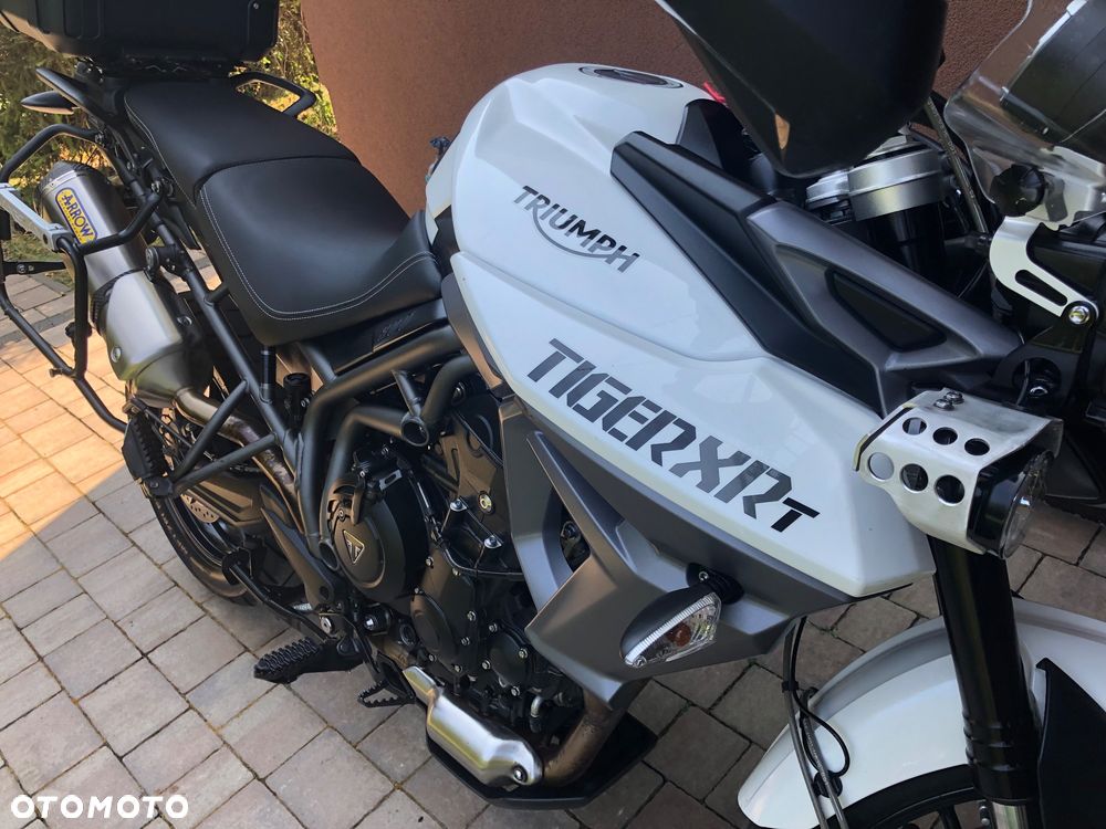 Triumph Tiger - 25