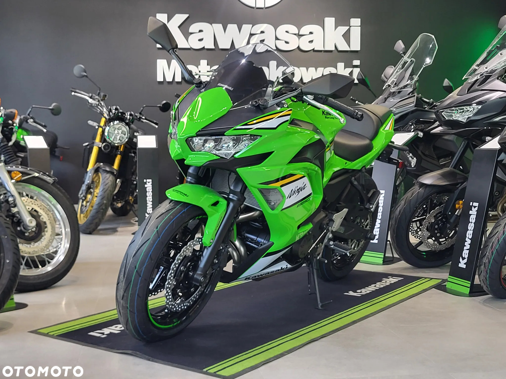 Kawasaki Ninja - 8