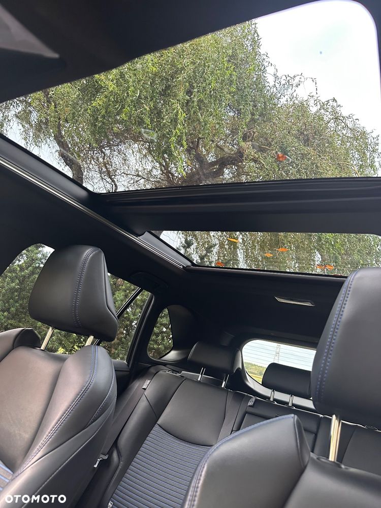 Toyota RAV4 Hybrid Selection 4x4 - 24