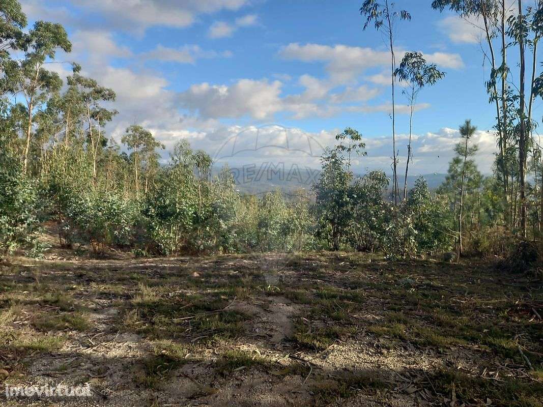 Terreno  para venda - Grande imagem: 2/7