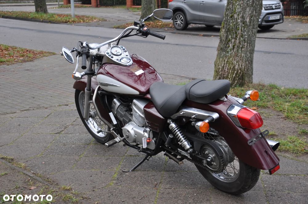 Honda Shadow - 7