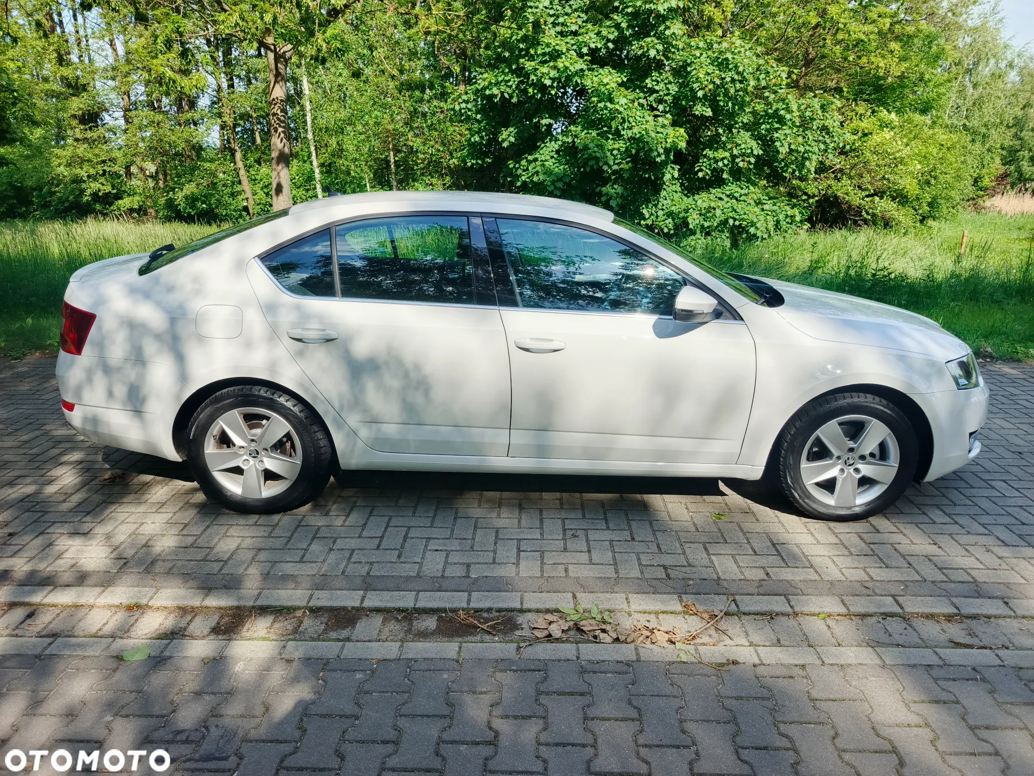 Skoda Octavia 1.6 TDI Greenline - 7