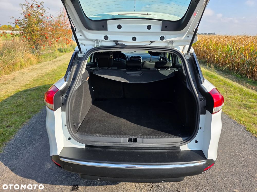 Renault Clio - 17