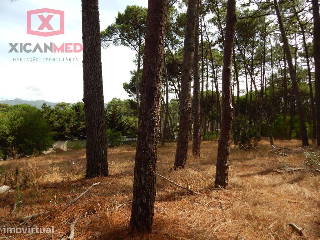 Terreno em Janas - Grande imagem: 2/8
