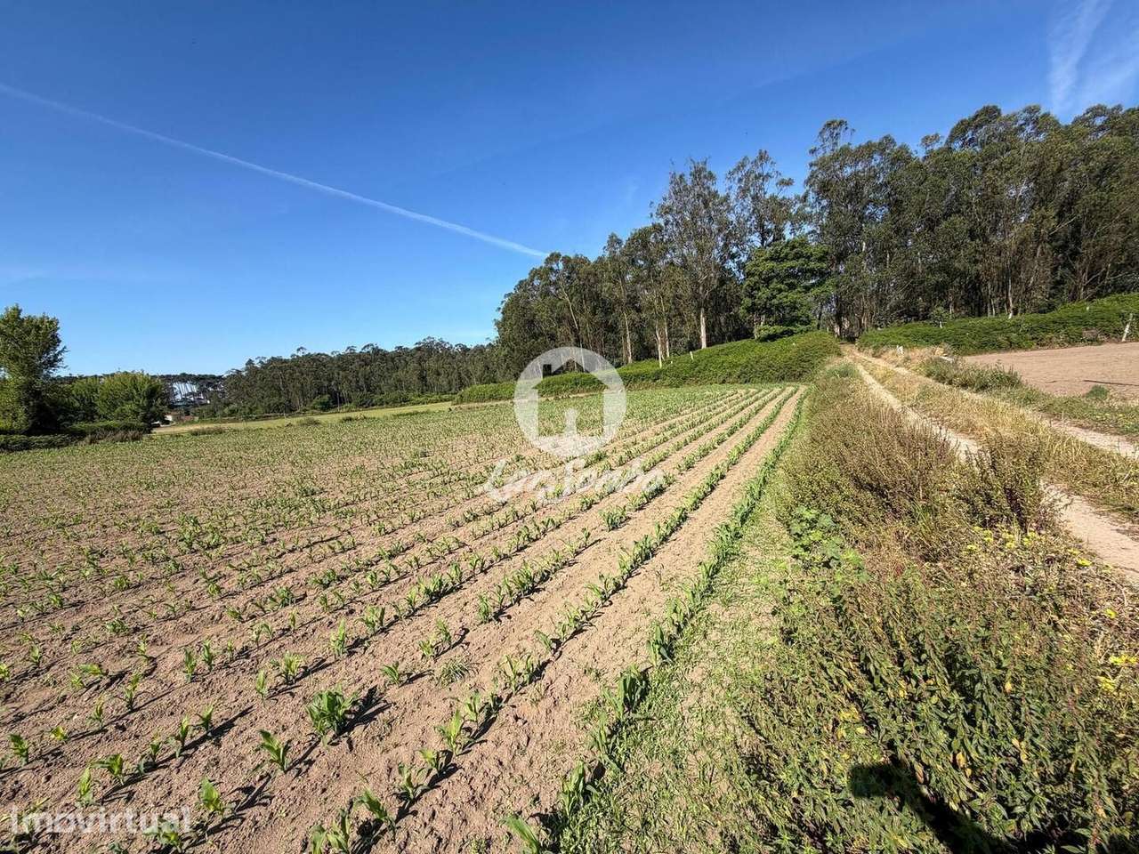 Terreno para construção de Moradias 3.400m² em Labruge, Vila do Conde - Grande imagem: 3/13
