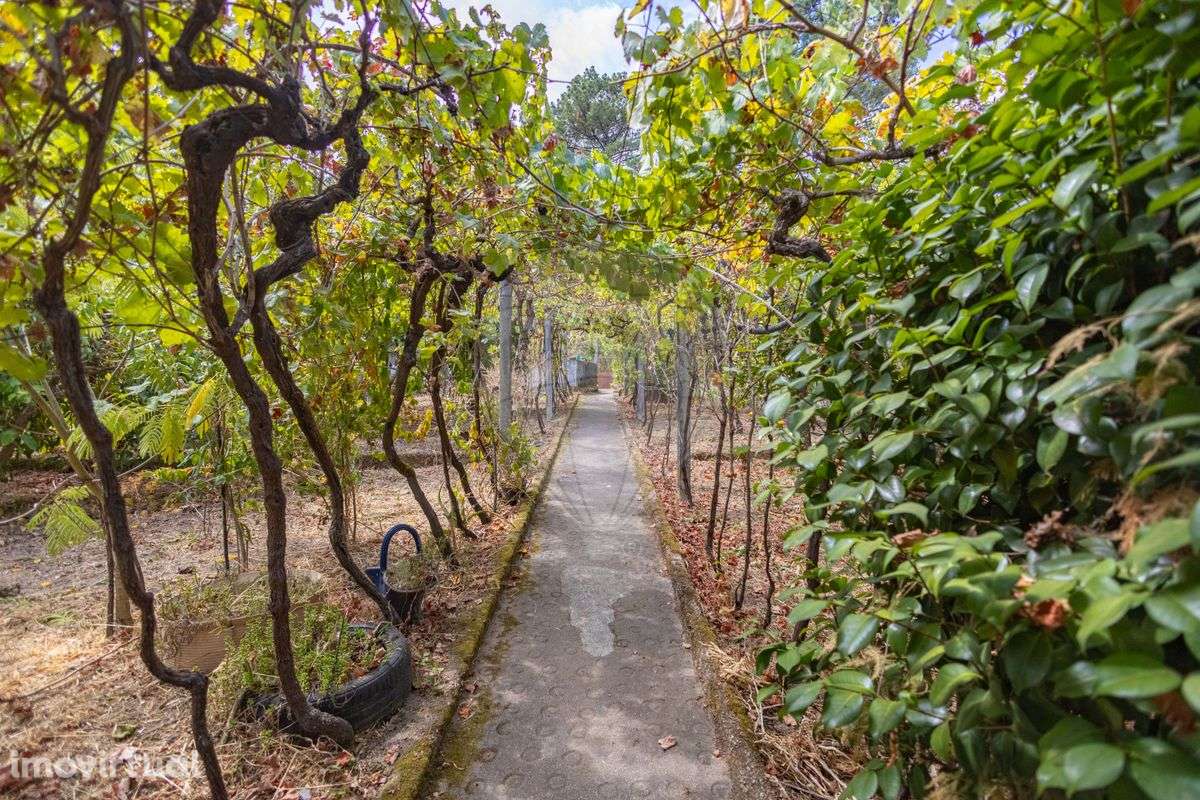 Moradia T2 para venda - Grande imagem: 4/31