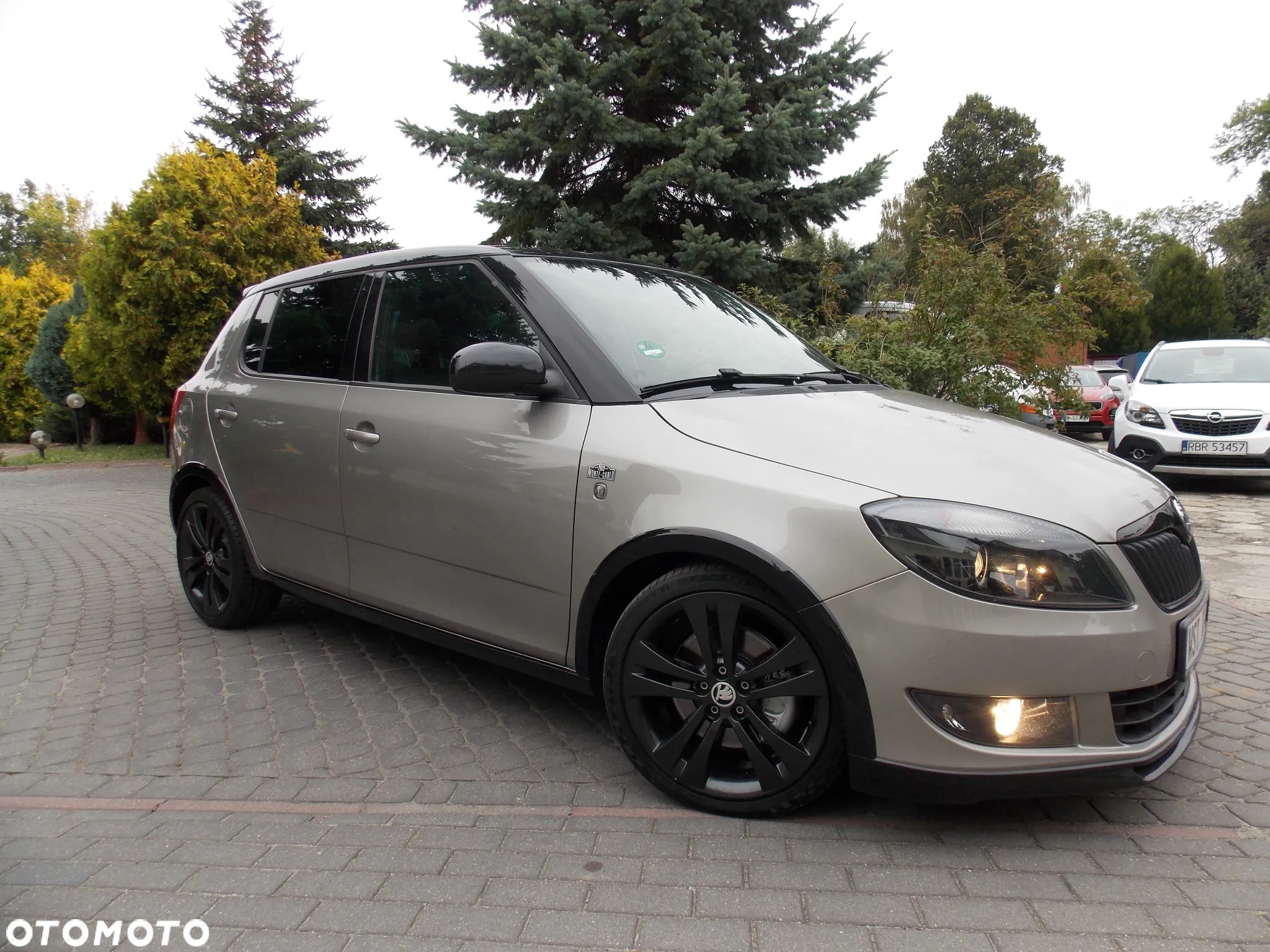 Skoda Fabia 1.6 TDI DPF MONTE CARLO - 10