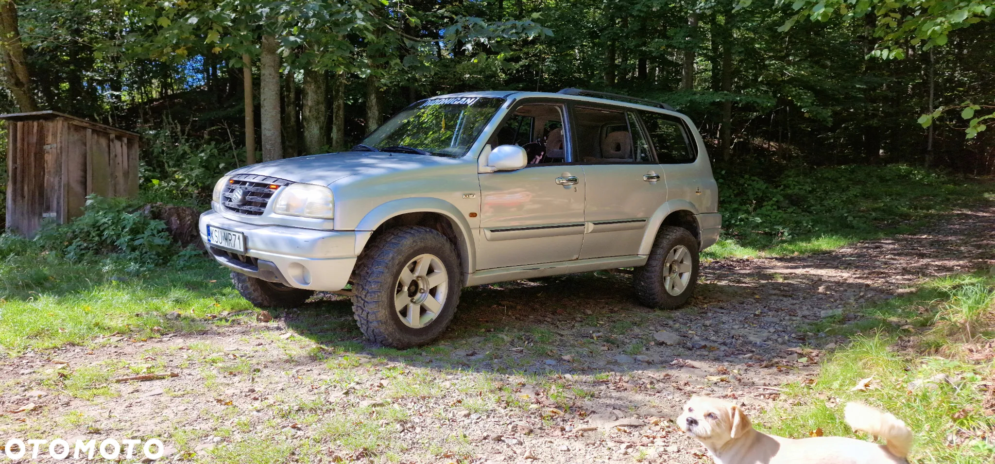 Suzuki Grand Vitara 2.7 V6 - 17
