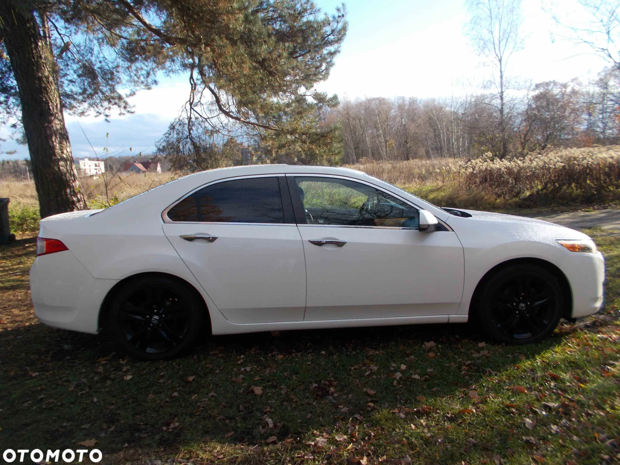 Honda Accord 2.0 Executive - 11