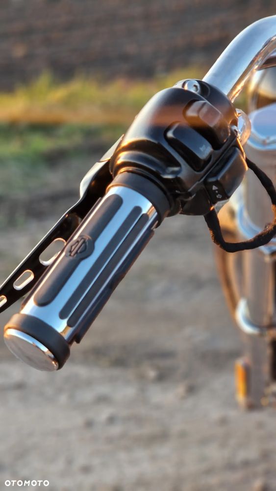 Harley-Davidson Softail - 14