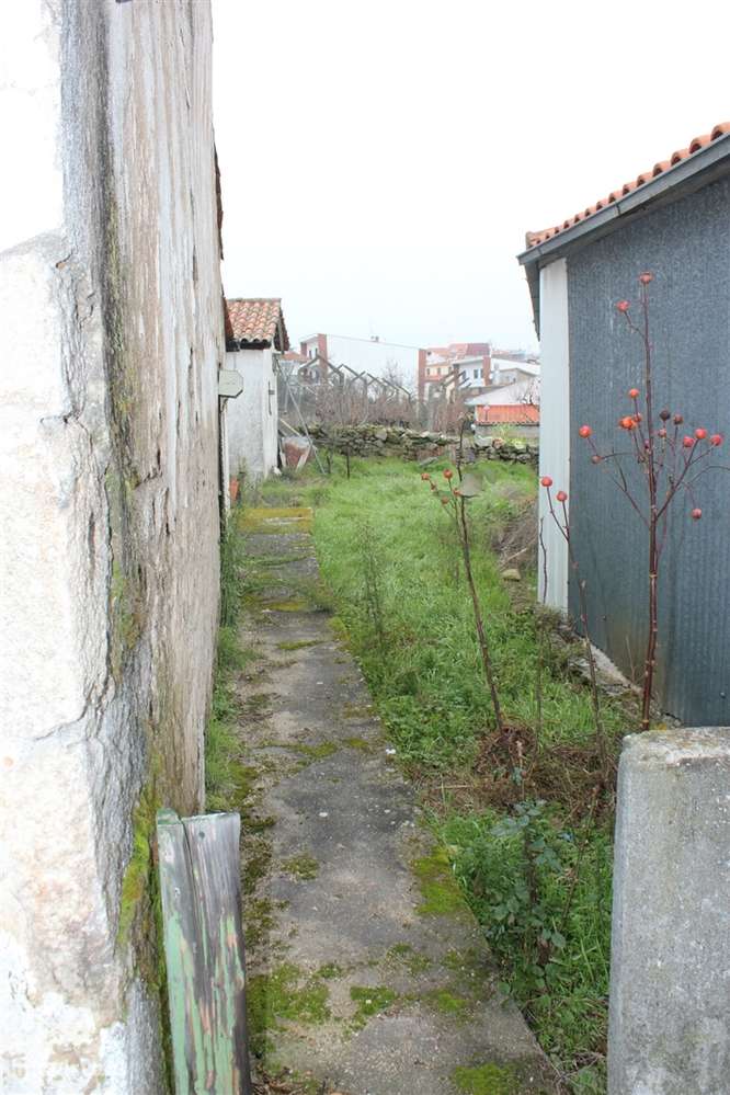 Moradia T3 Venda em Miranda do Douro,Miranda do Douro - Grande imagem: 4/18