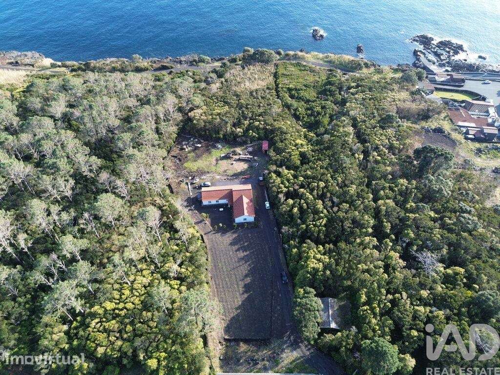 Casa / Villa T3 em São Caetano de 220,00 m2 - Grande imagem: 2/19