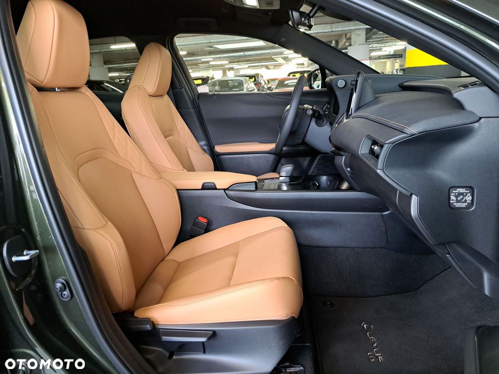 Lexus UX 300h F Sport Design - 15