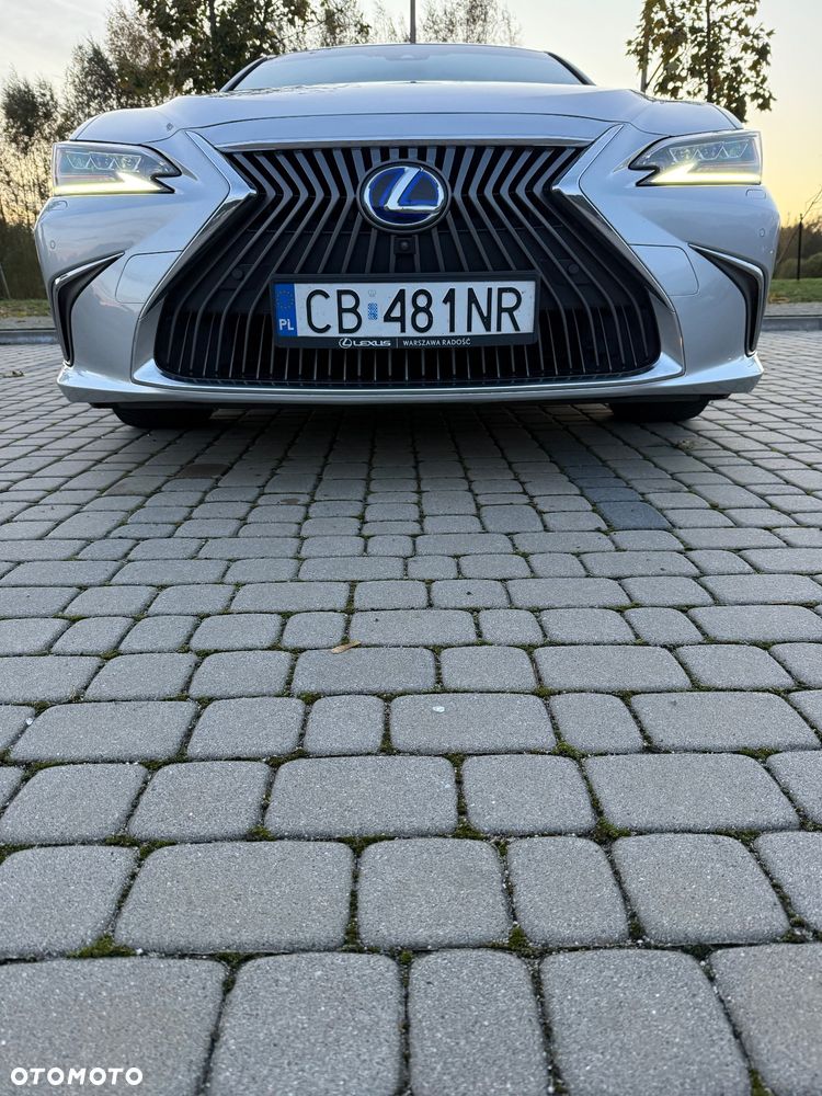 Lexus ES 300h Omotenashi - 8