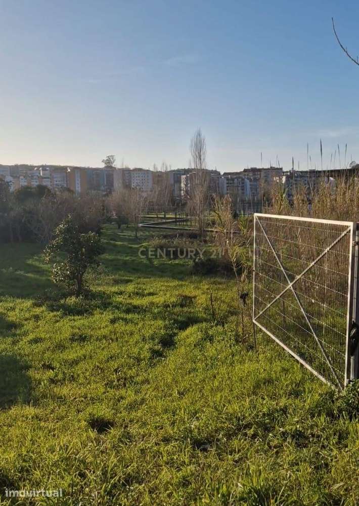 Terreno no Centro de São Romão – Leiria | 4.890 m² - Grande imagem: 4/13