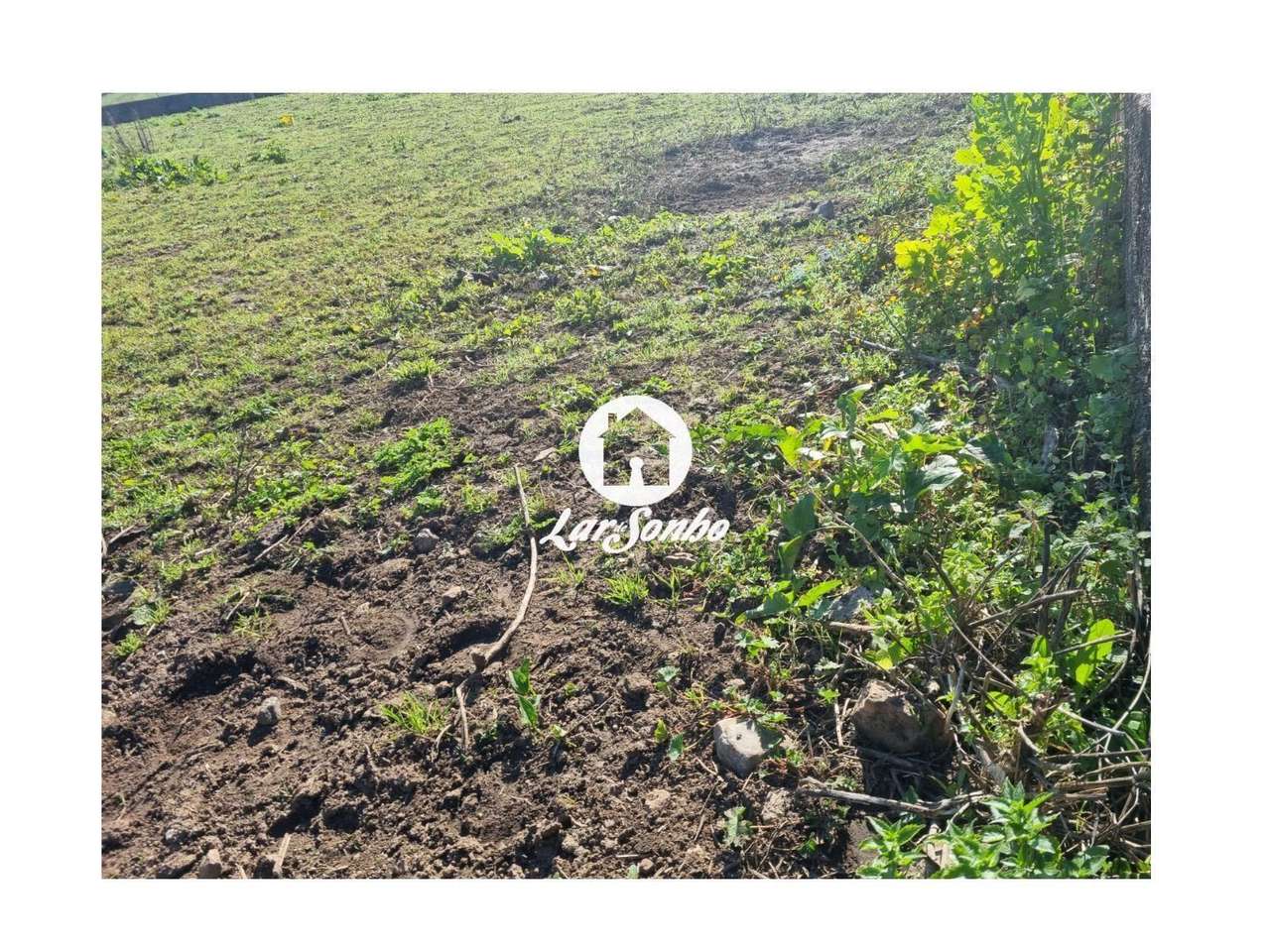 Terreno para construção de Moradia em Apúlia - Grande imagem: 3/14