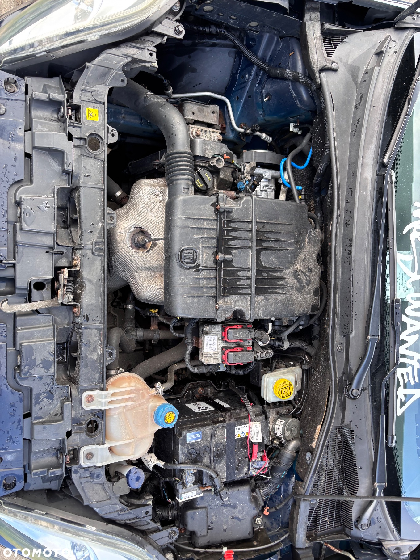 Fiat Punto Evo 1.2 8V MyLife Start&Stop - 15