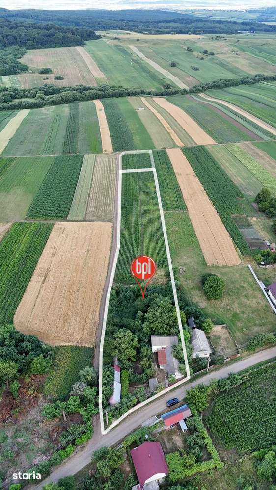 SE VINDE Gospodarie taraneasca,  Valea Glodului (Vulturesti), jud. SV - Imagine principală: 3/15