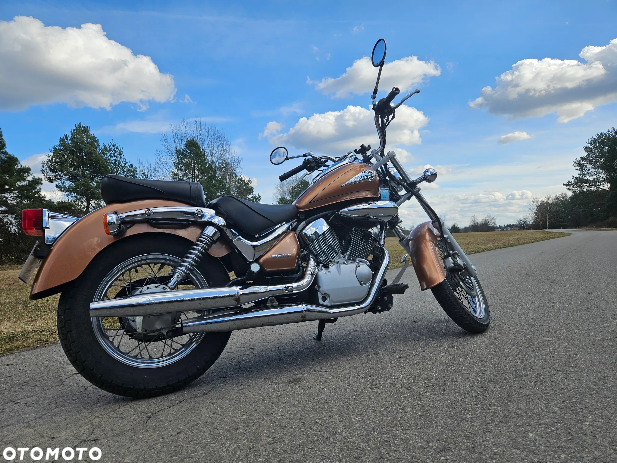 Suzuki Intruder - 2