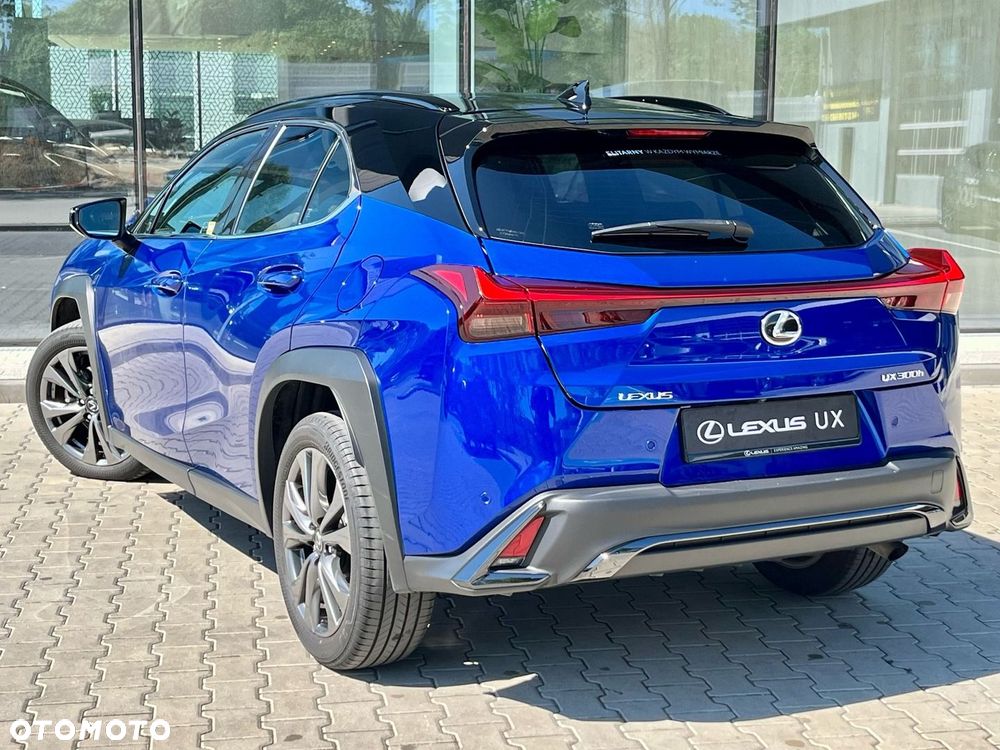 Lexus UX 300h F Sport Design - 12