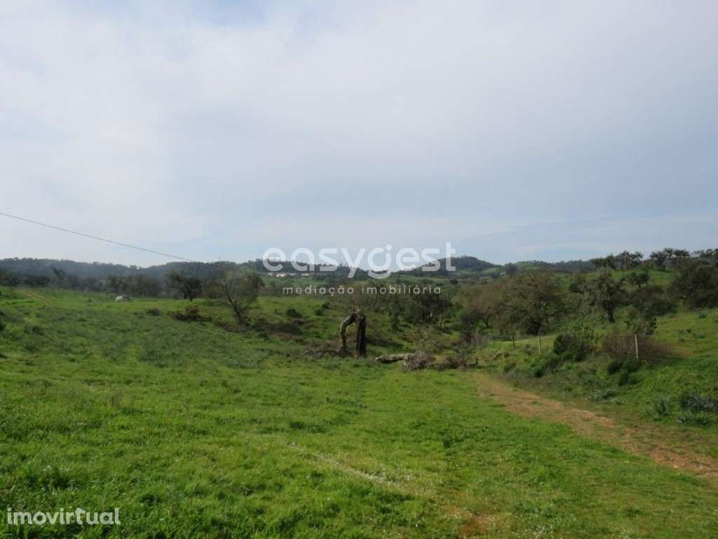 Herdade com 1.447.916 m2 localizada em São Luís, concelho de Odemira - Grande imagem: 5/48