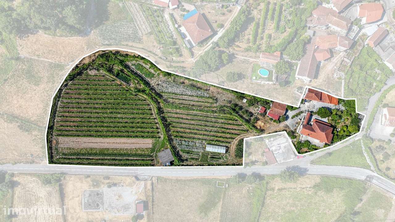 Quinta T4 para venda - Grande imagem: 3/50