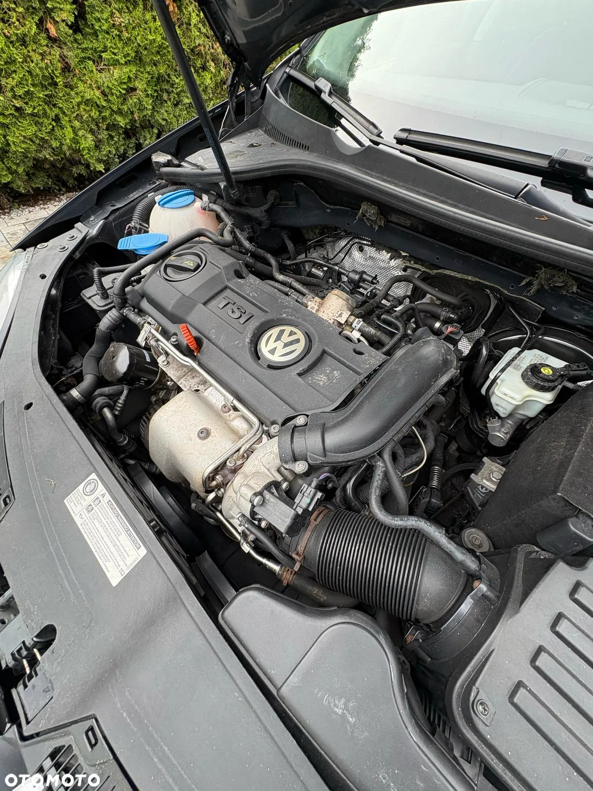 Volkswagen Golf - 11