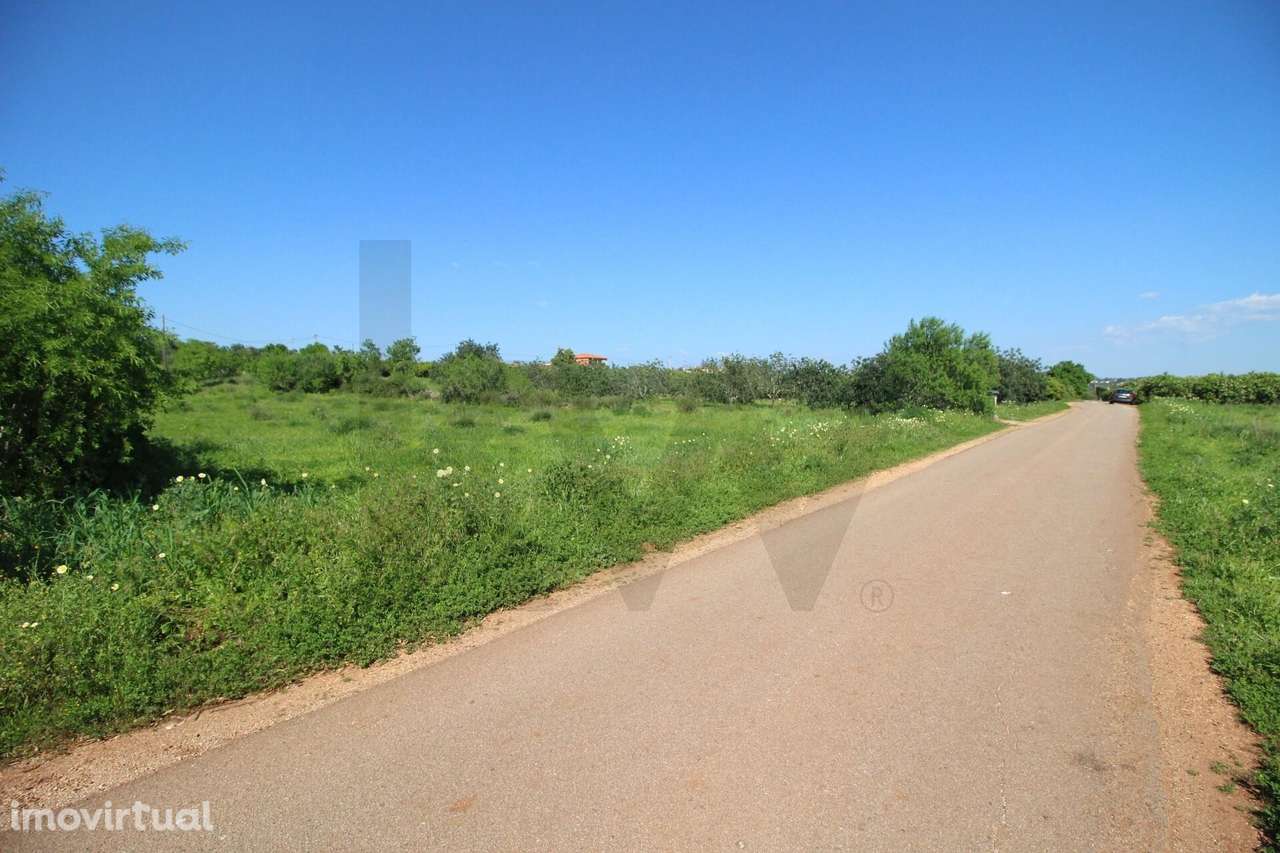 Terreno rustico com 8610 m2, Barranco Longo, Algoz - Grande imagem: 4/20