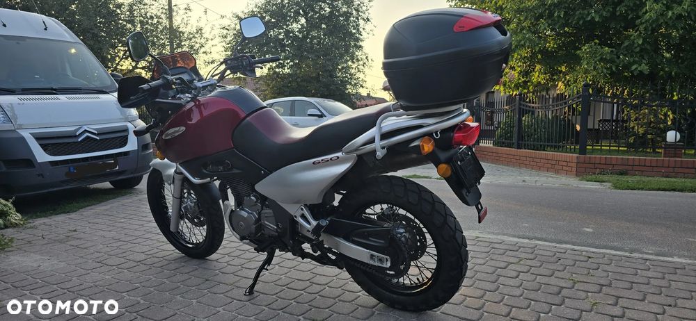 Suzuki XF - 5