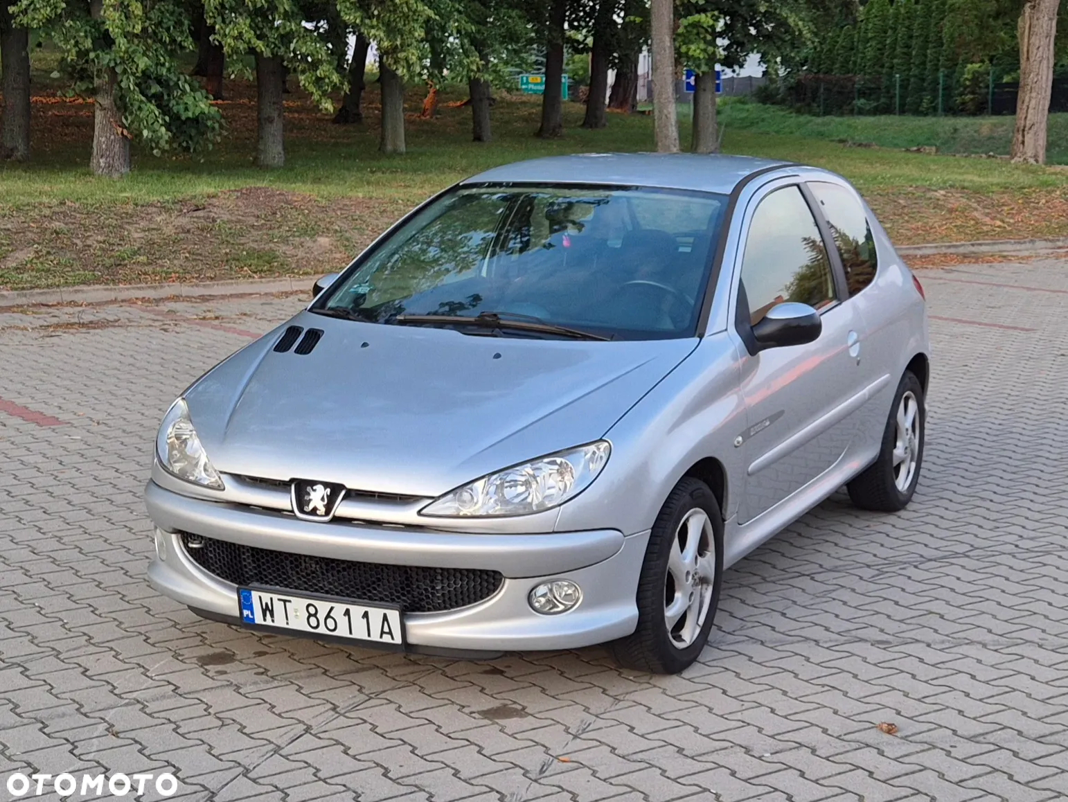 Peugeot 206 1.6 Quiksilver - 9