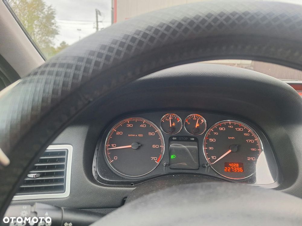 Peugeot 307 - 6