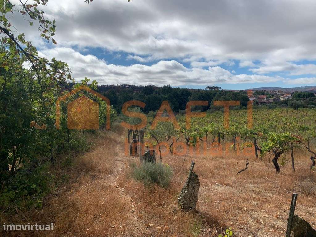 Terreno à venda em Prados - Pinhel - Grande imagem: 3/19