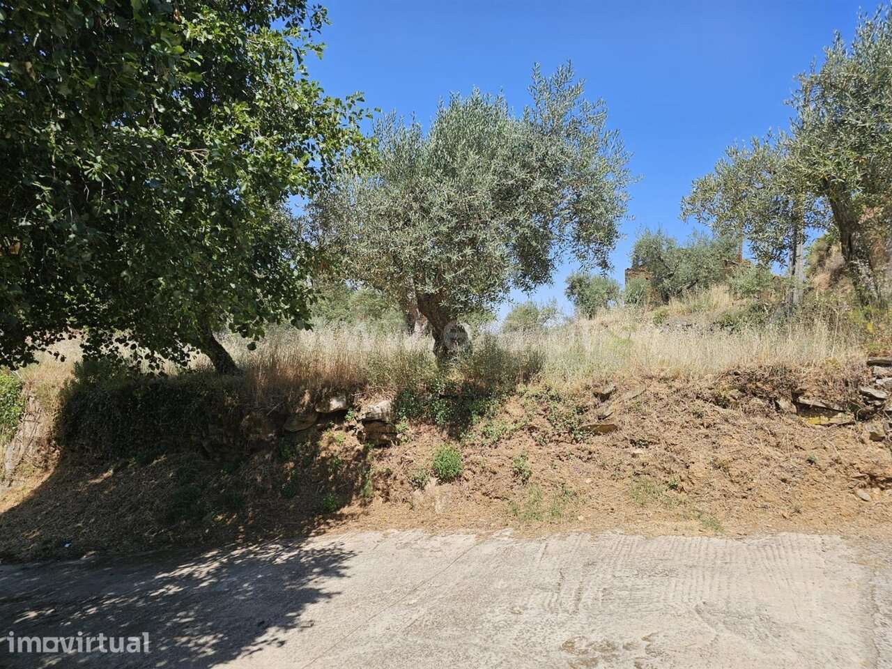 Terreno com ruina T1 / Fundão, Souto da Casa - Grande imagem: 4/11