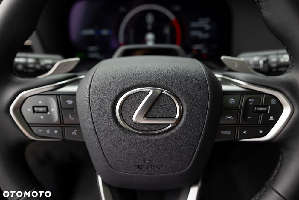 Lexus GX - 25