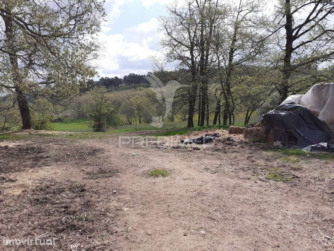 Quinta em local sossegado - Trancoso - Grande imagem: 2/14