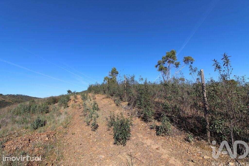 Casa rústica T2 em São Bartolomeu de Messines de 80 m2 - Grande imagem: 5/25