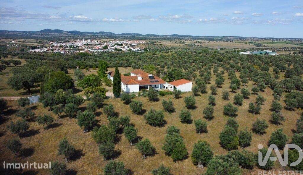Quinta T5 em Assunção de 336 m2 - Grande imagem: 4/40