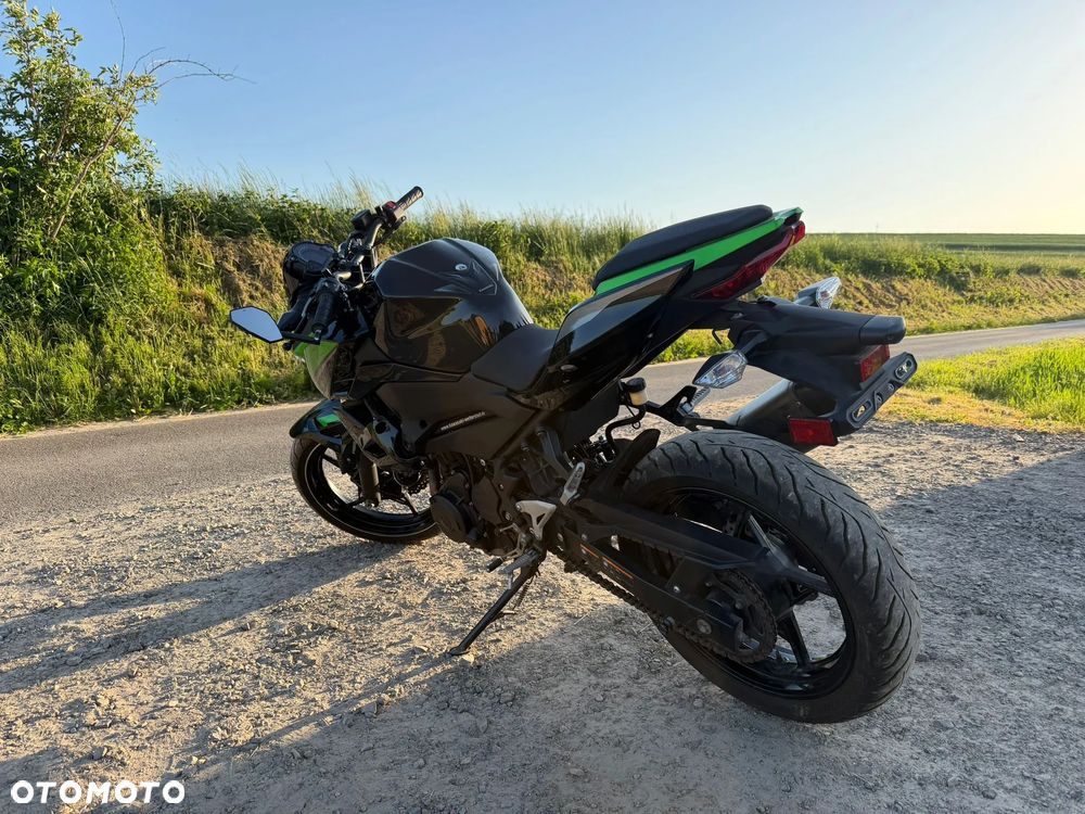 Kawasaki Z - 6