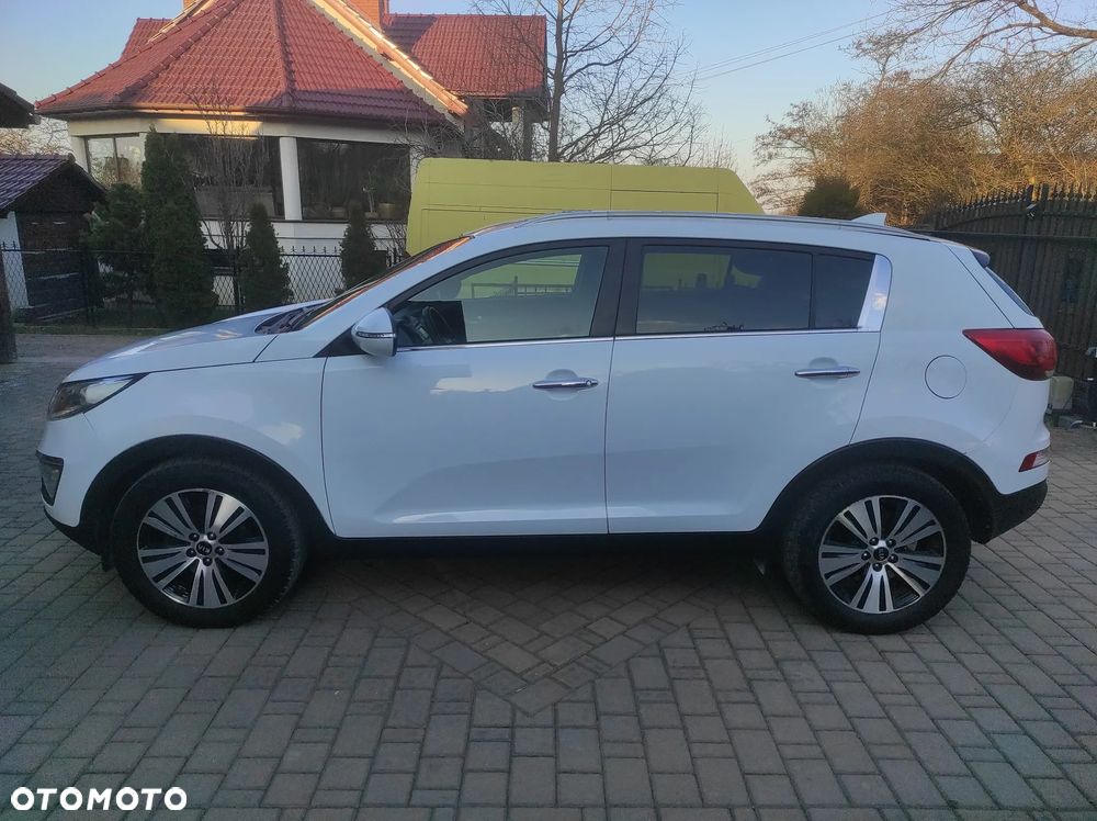 Kia Sportage - 1
