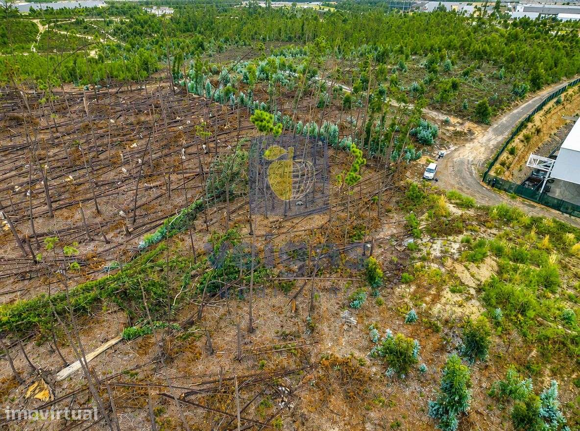 Terreno Industrial com 2568m2 para construção de armazém, indústria ou - Grande imagem: 4/8