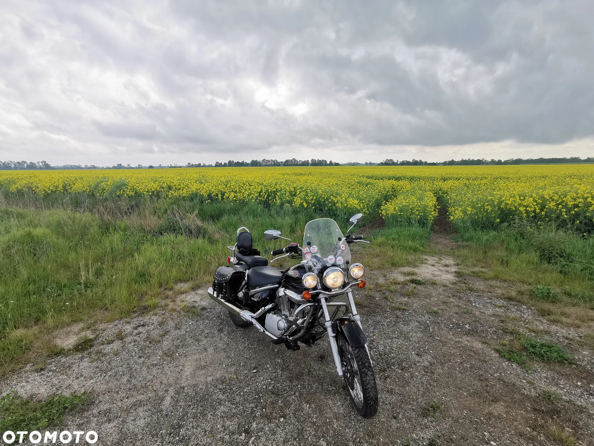 Suzuki Intruder - 6