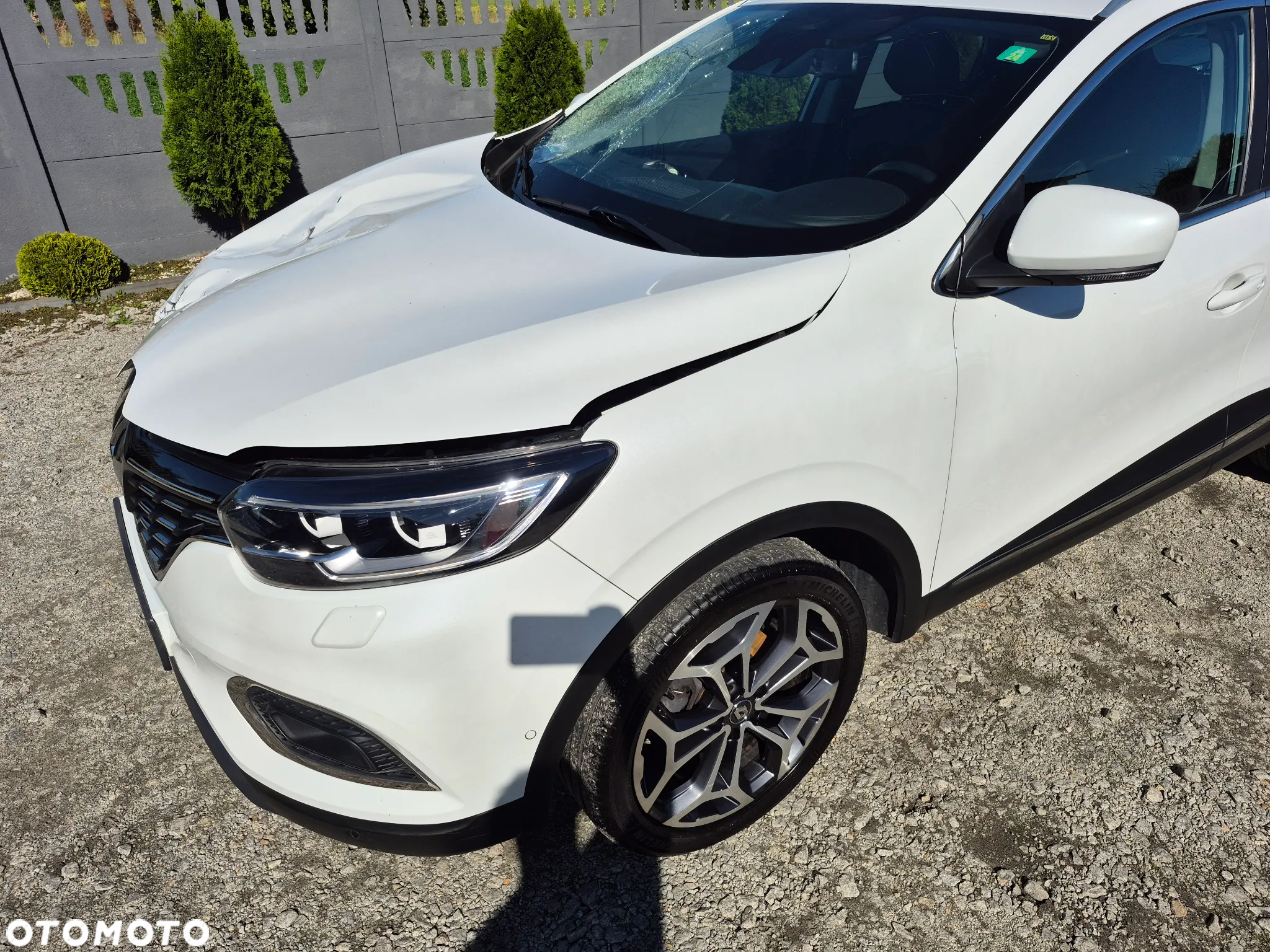 Renault Kadjar 1.3 TCe FAP Intens - 22